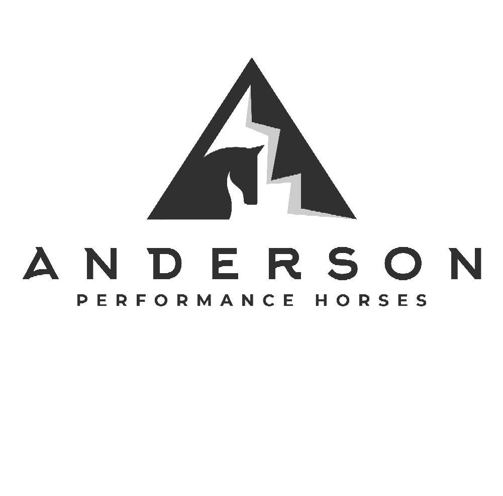 Sara Richerts Anderson