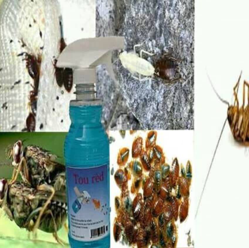 📣📣🔊 Menli, menli men prodwi ou tap chache ha ou menm ki gen pinèz, ti ...