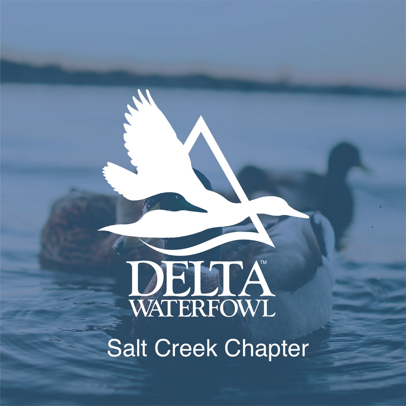 Salt Creek Chapter of Delta Waterfowl | Lincoln NE