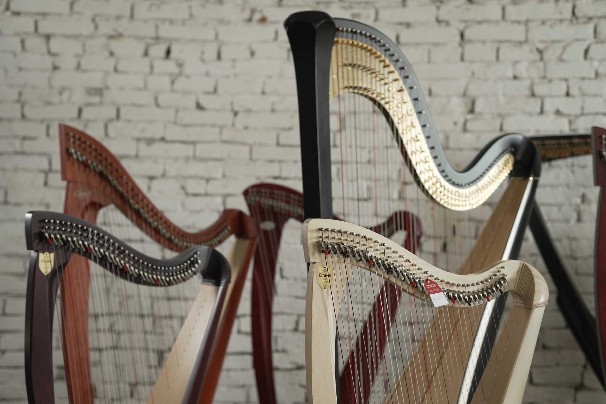 Salvi / Lyon & Healy Harps Showroom in Sofia