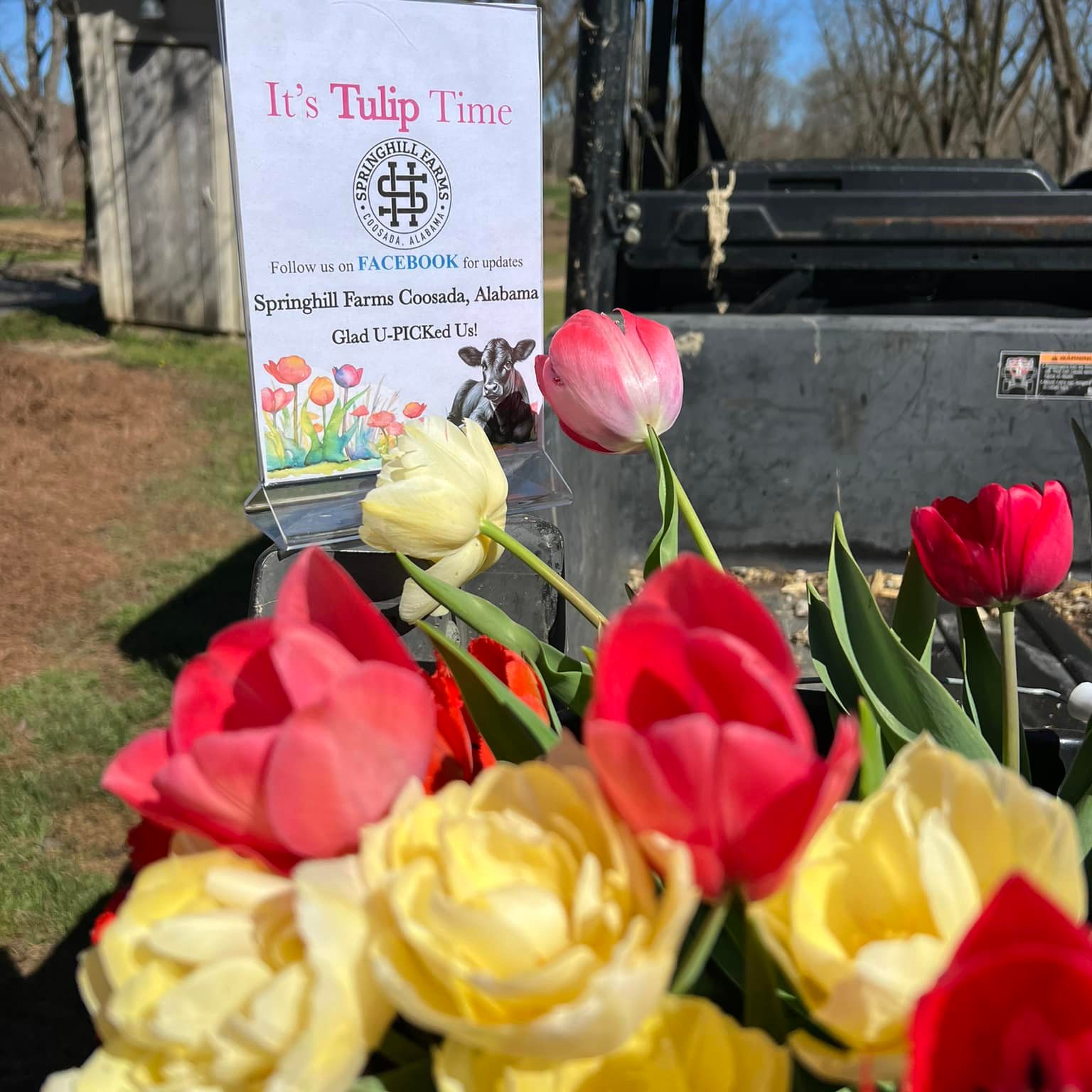 Springhill Farms Coosada, Alabama | Millbrook AL