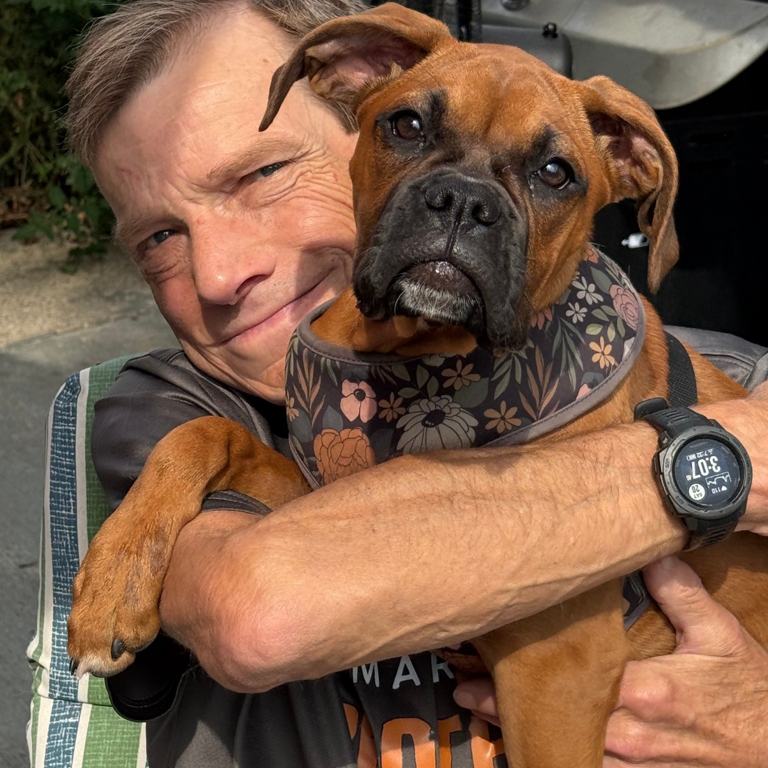 Adopt A Boxer's, Rescue & Adopt | Tonight’s bedtime story was The Boy ...