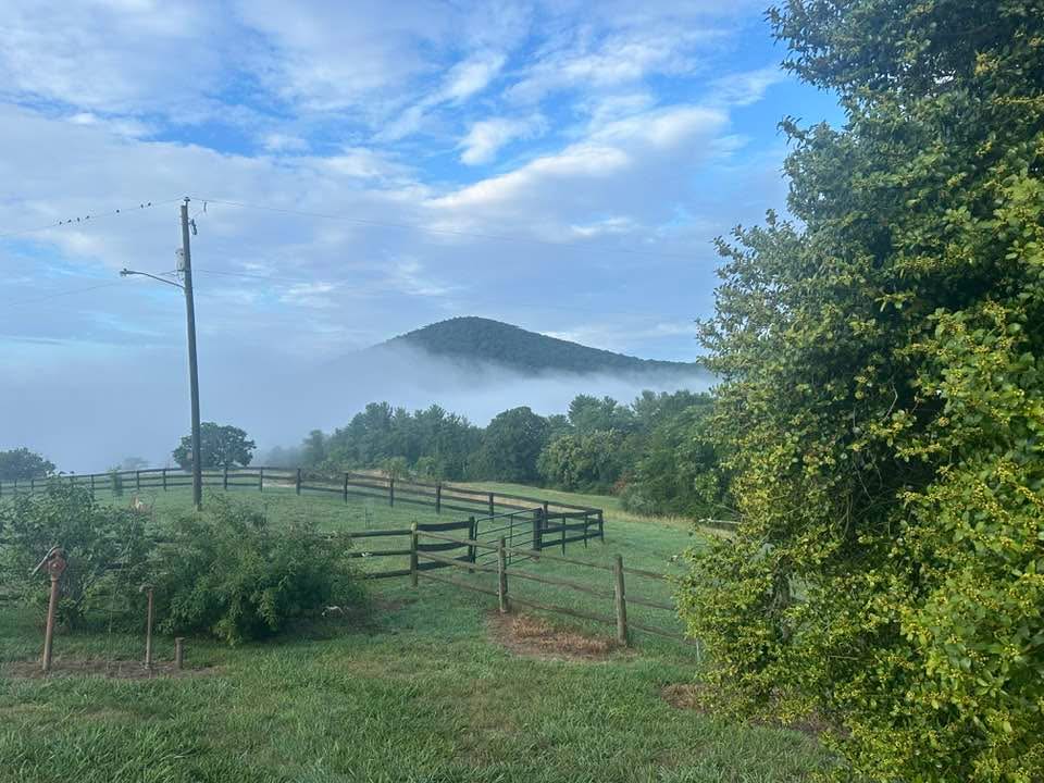 Cobbler Mountain Rural Retreats | Delaplane VA