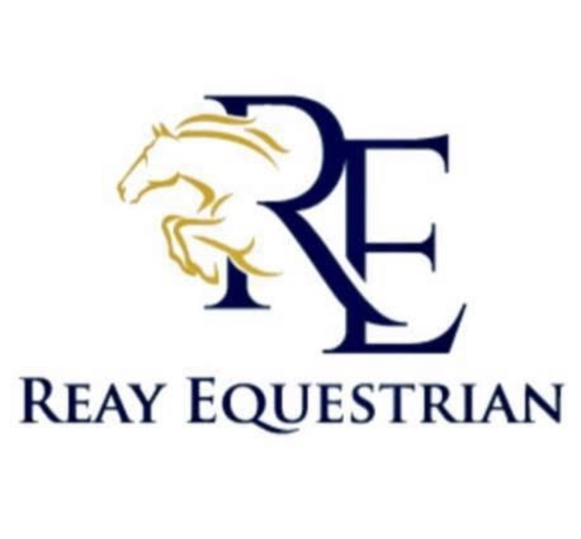 The Riding School at Reay Equestrian | Louth