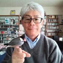 ポプラチェンバロ | Facebook