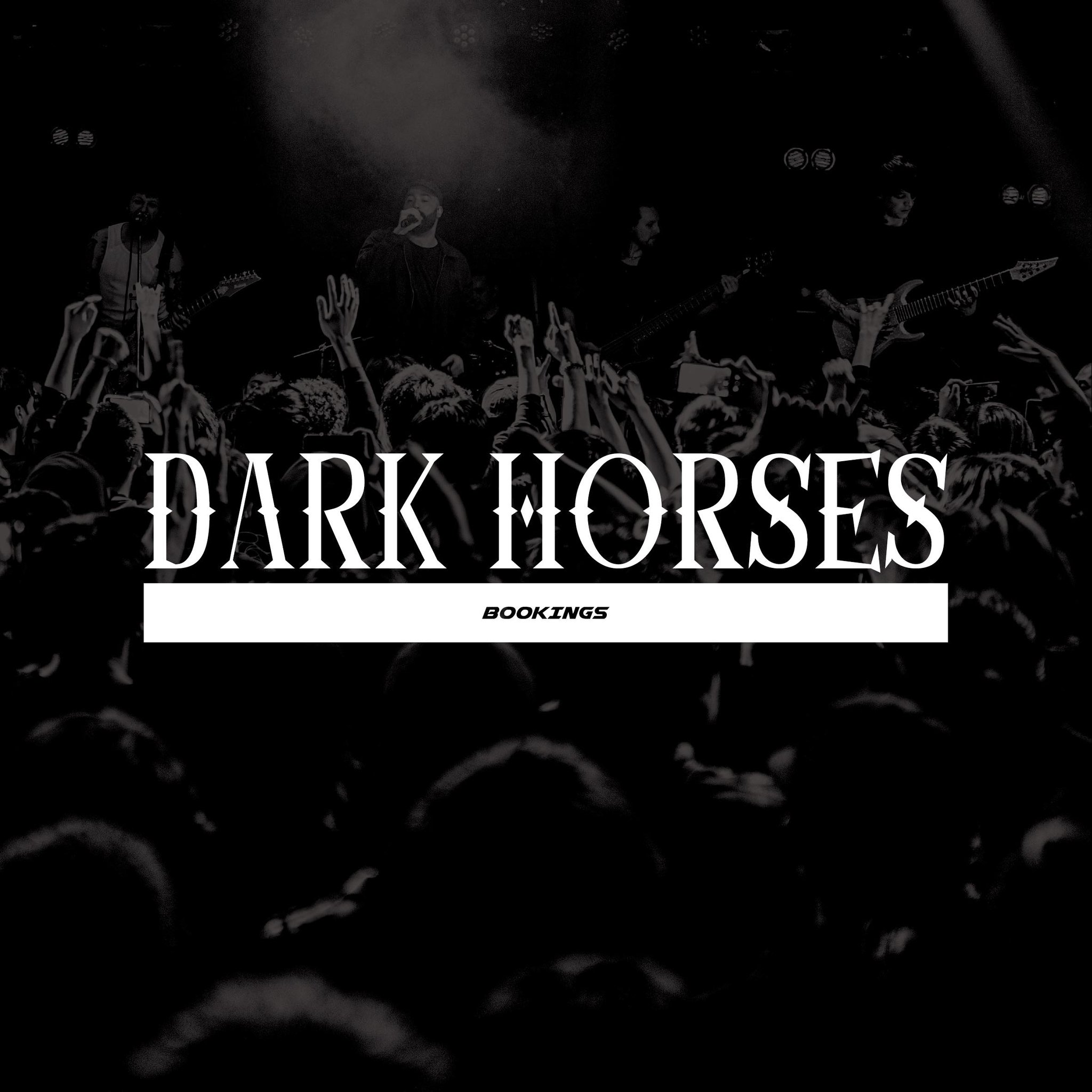 dark-horses