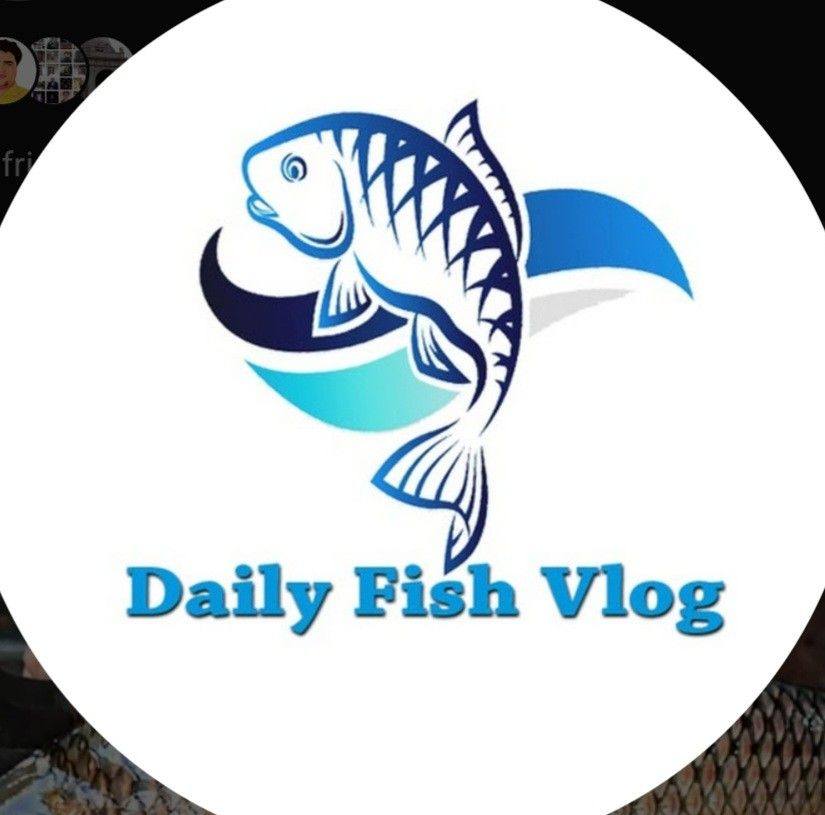 Daily Fish Vlog