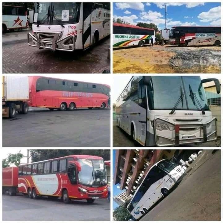 Cross Border Buses from SA to Zim 2 | Johannesburg