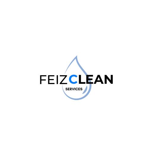 Feiz clean | Lyon