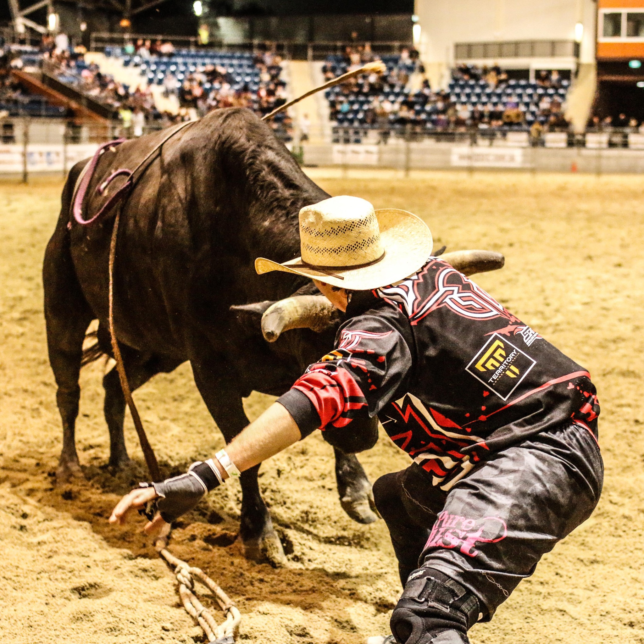 Dylan Swan - Bullfighter