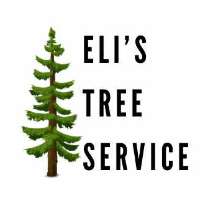 Eli's Tree Service LLC | Grand Rapids MI