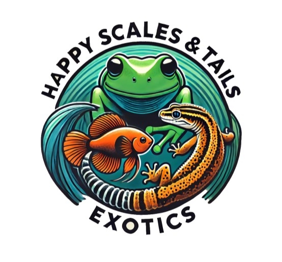 Happy Scales & Tails Exotics | Albert Lea MN