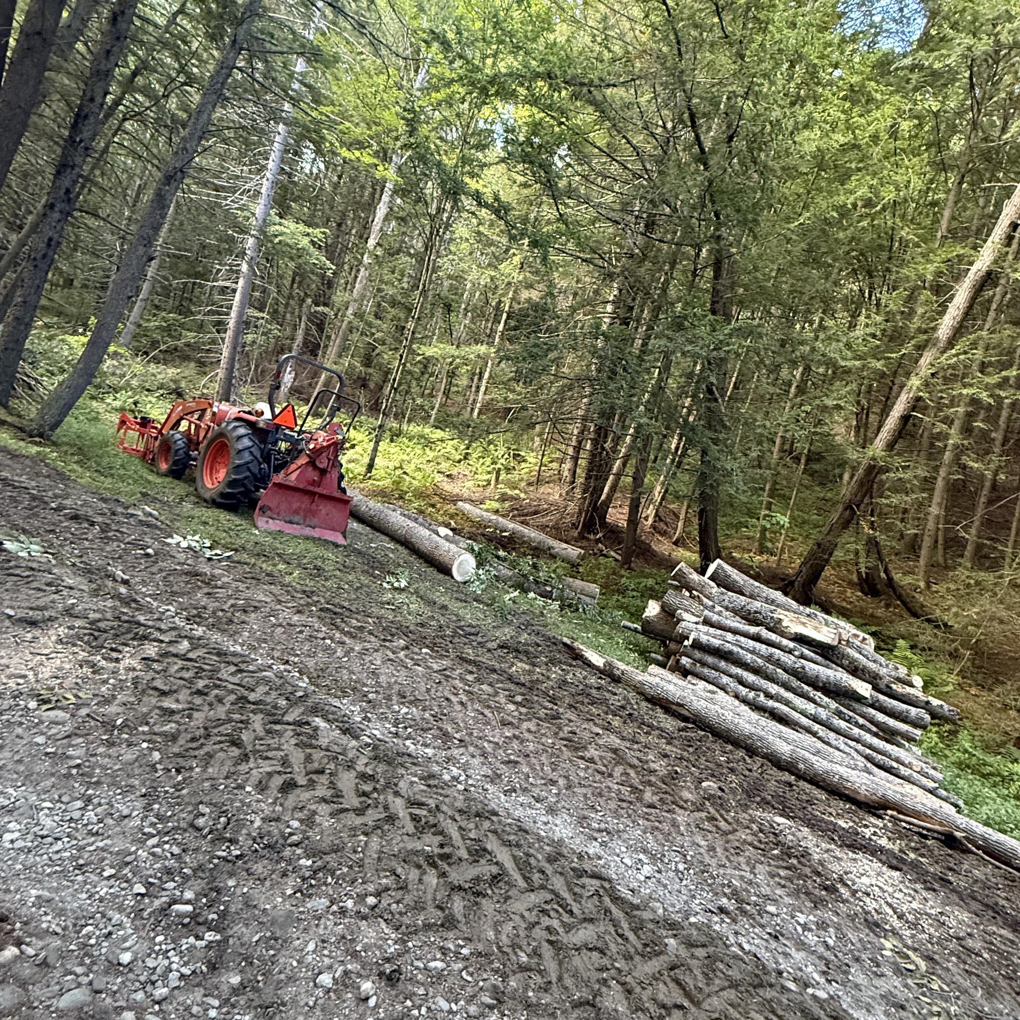 Timber & Terrain Innovations | South Royalton VT
