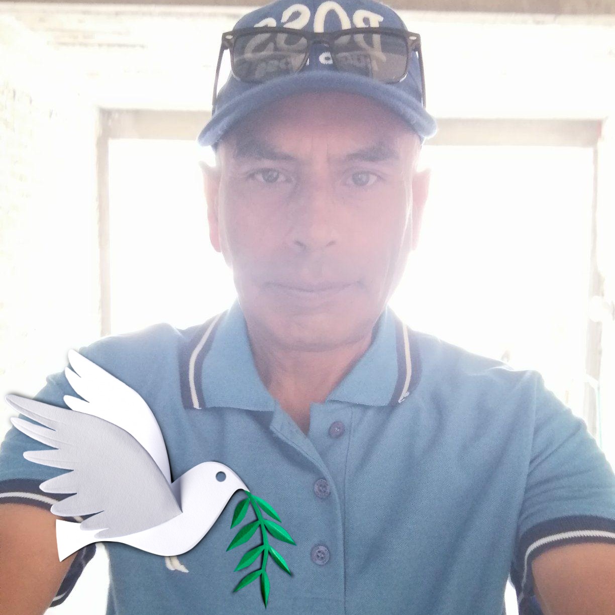 Primer instancia AMBER. - Ramiro Aguilar Rodríguez | Facebook