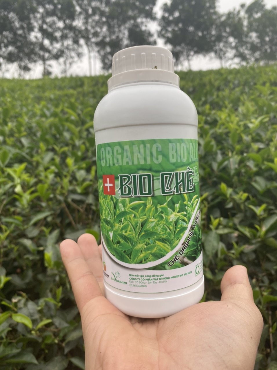 Bio Chè - Phân bón chuyên cho cây chè