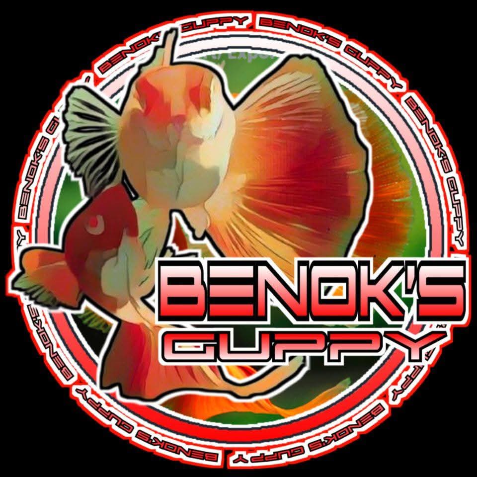 Benoks Guppy