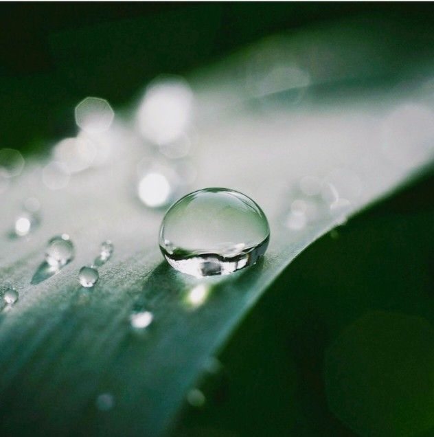 Today, it rained so heavily in Siem Reap. I suddenly went outside and ...