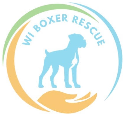 WI Boxer Rescue