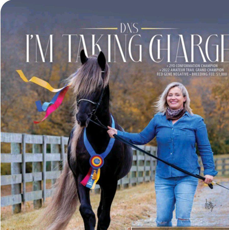 AK Stables