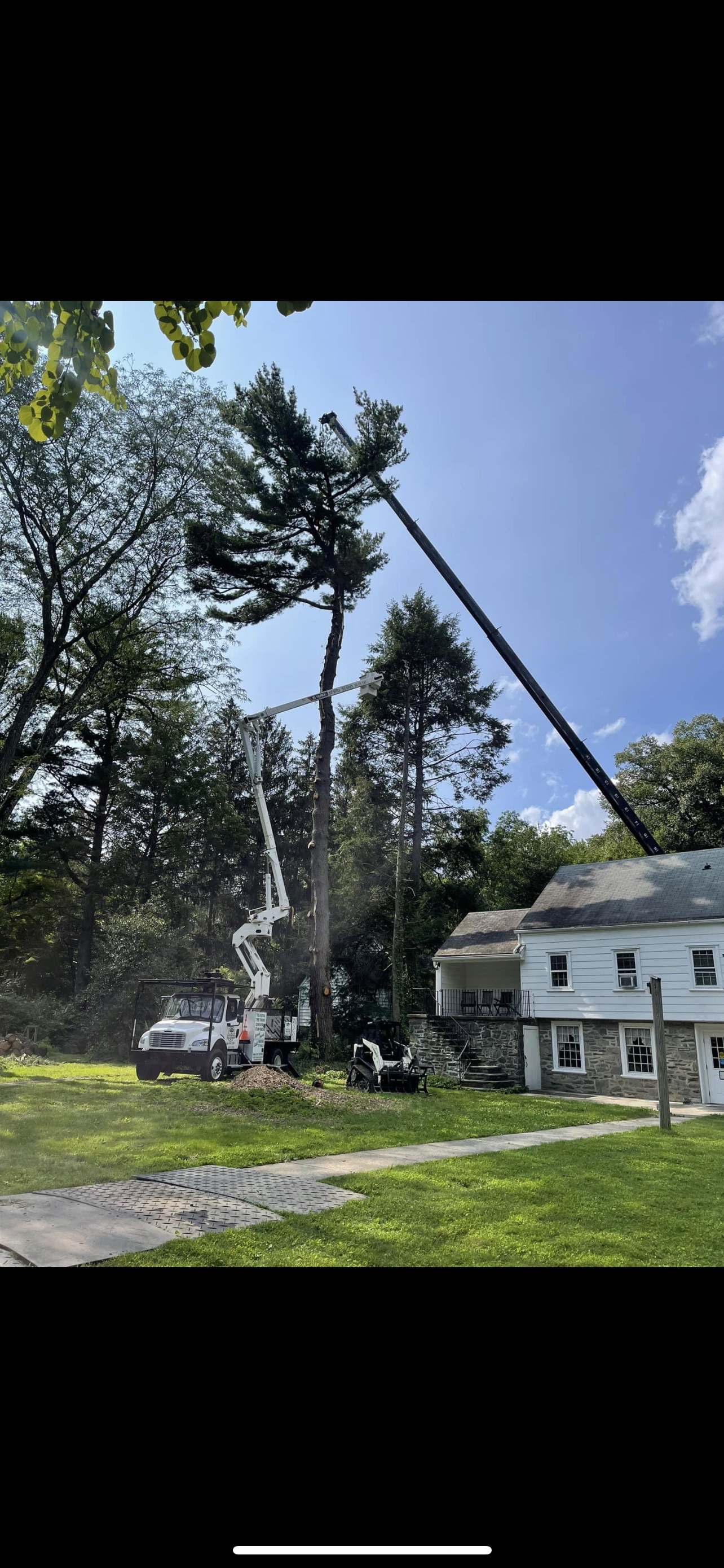 Top Notch Tree Experts | Boothwyn PA