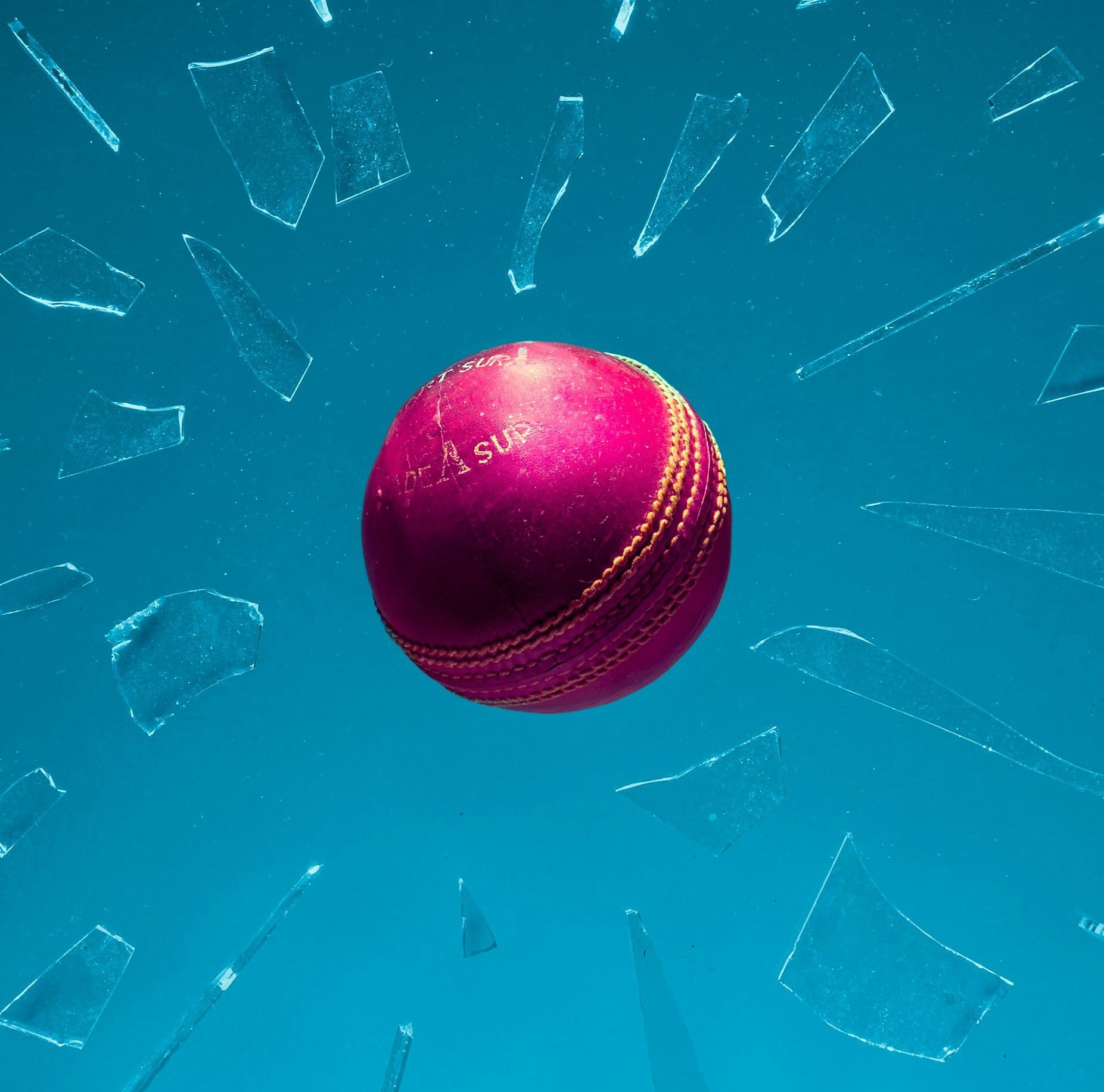 Cricket Wicket
