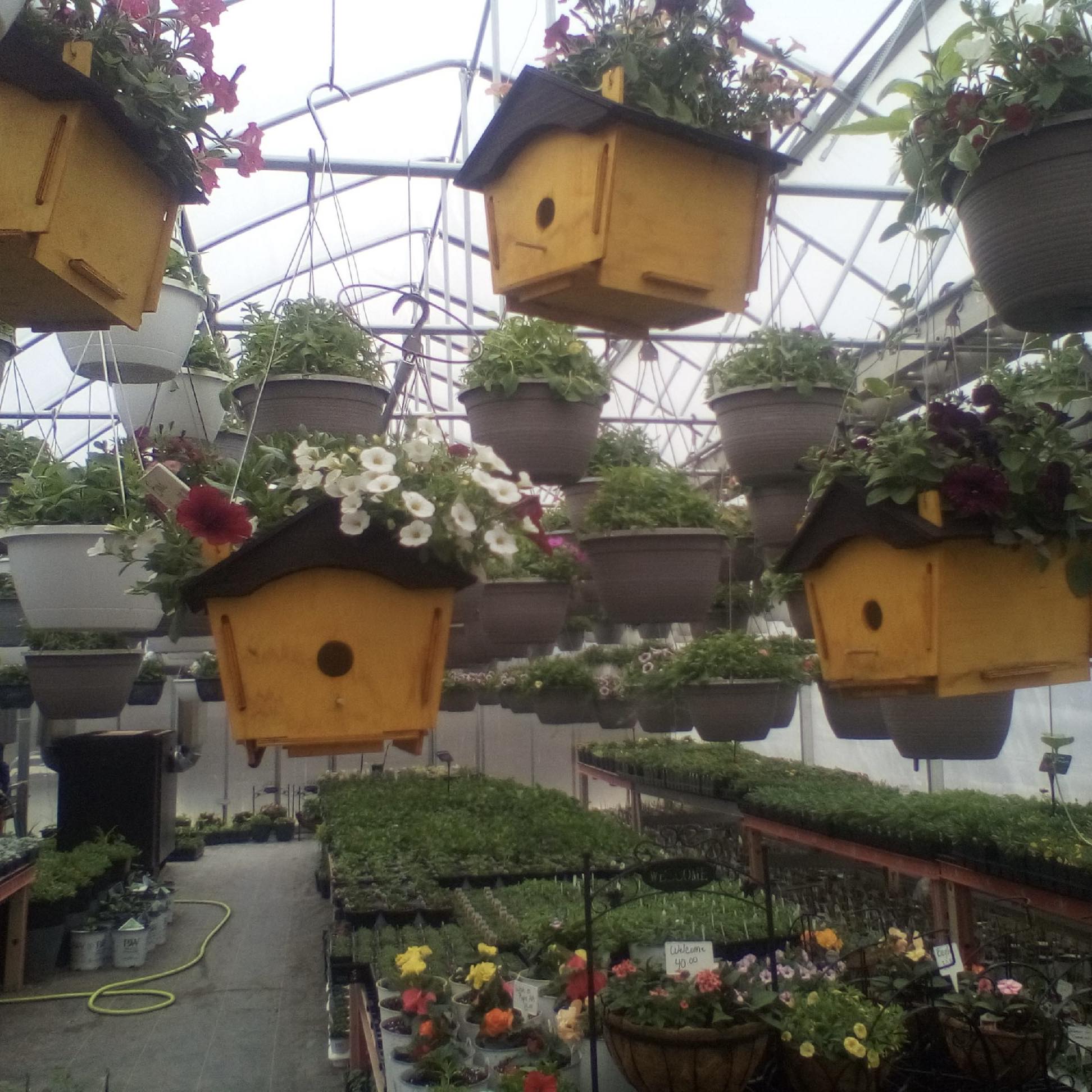 Hill Crest Greenhouse | Somerset OH