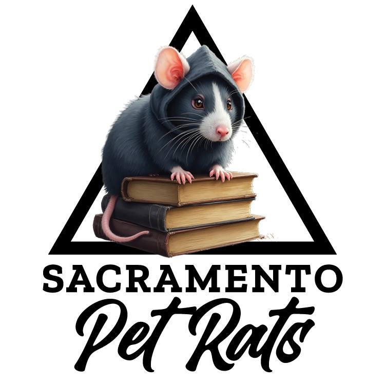 Sacramento Pet Rats | Sacramento CA