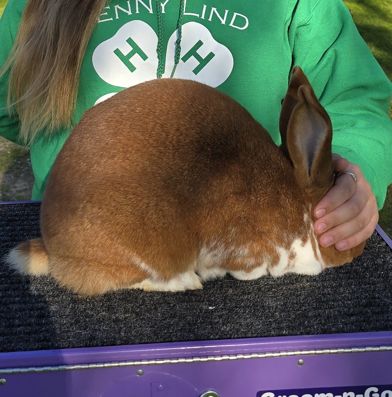 Almosta Ranch Rabbitry | Valley Springs CA