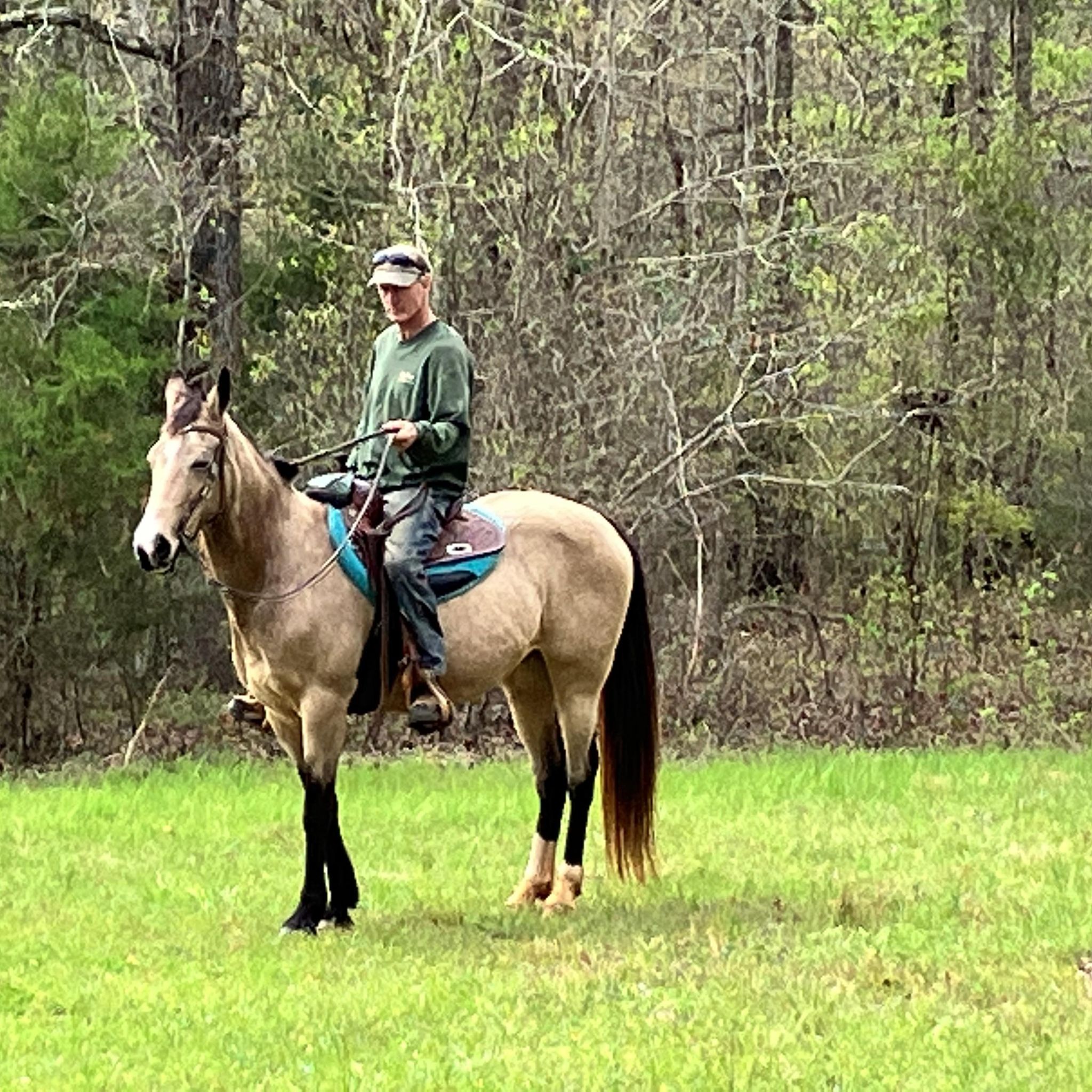 Southern Dreams Ranch Trail Riding | Americus GA