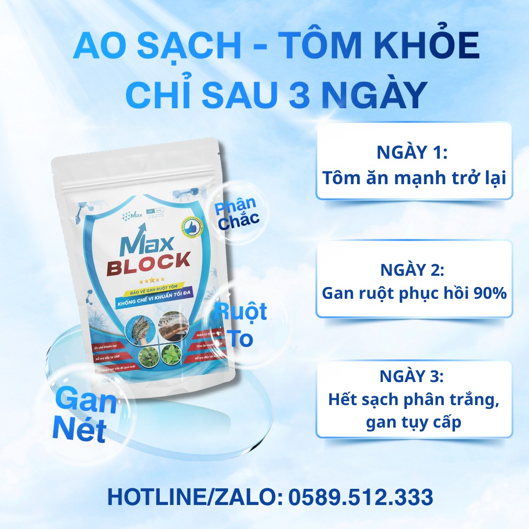 MAX BLOCK CHÍNH HÃNG - Tổng Đại Lý Phân Phối Số 1 Toàn Quốc
