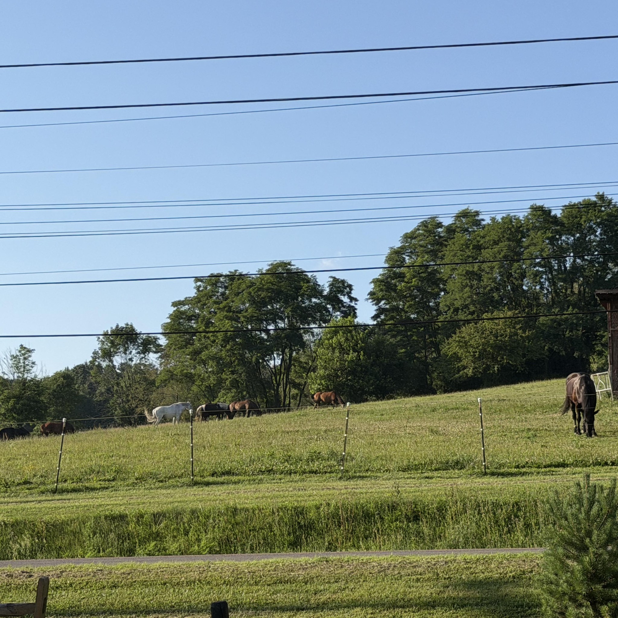 The 5 M Cooper Ranch | Latrobe PA
