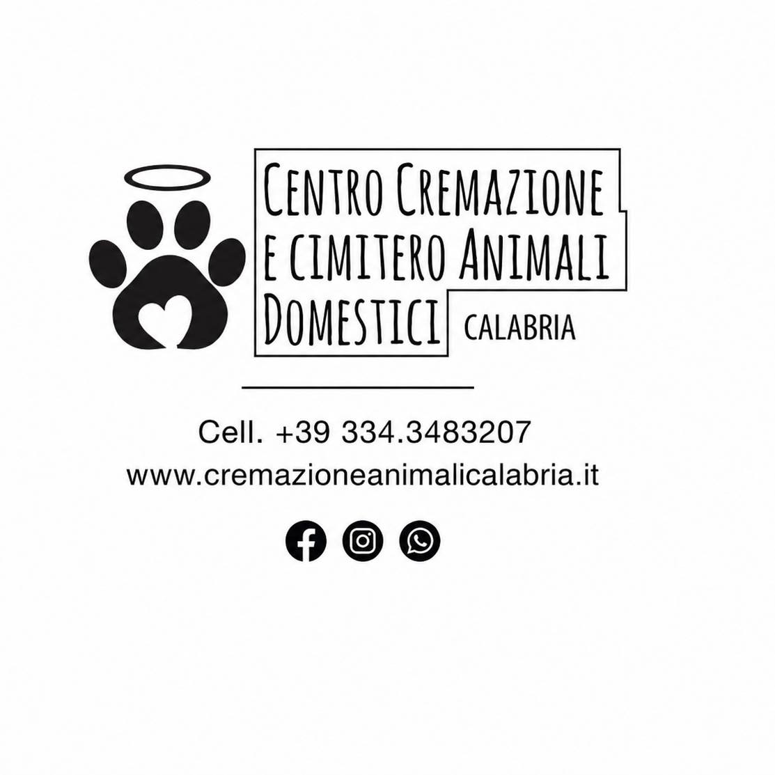 Ciondolo Urna In Acciaio Inox Per Ceneri Animali Domestici &ndash; Forma Rettangolare Con Cristallo E Impronta Zampa