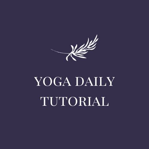 Yoga Daily Tutorial