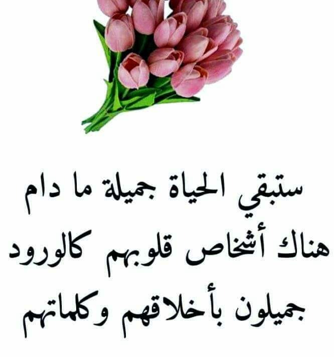 قصة الحمامة المظلومة🤣 | دجاج بلدي طرطوس