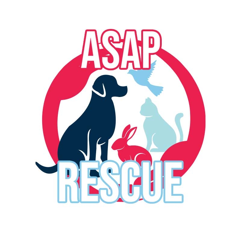 Animal Support and Protection Rescue | Hurricane UT