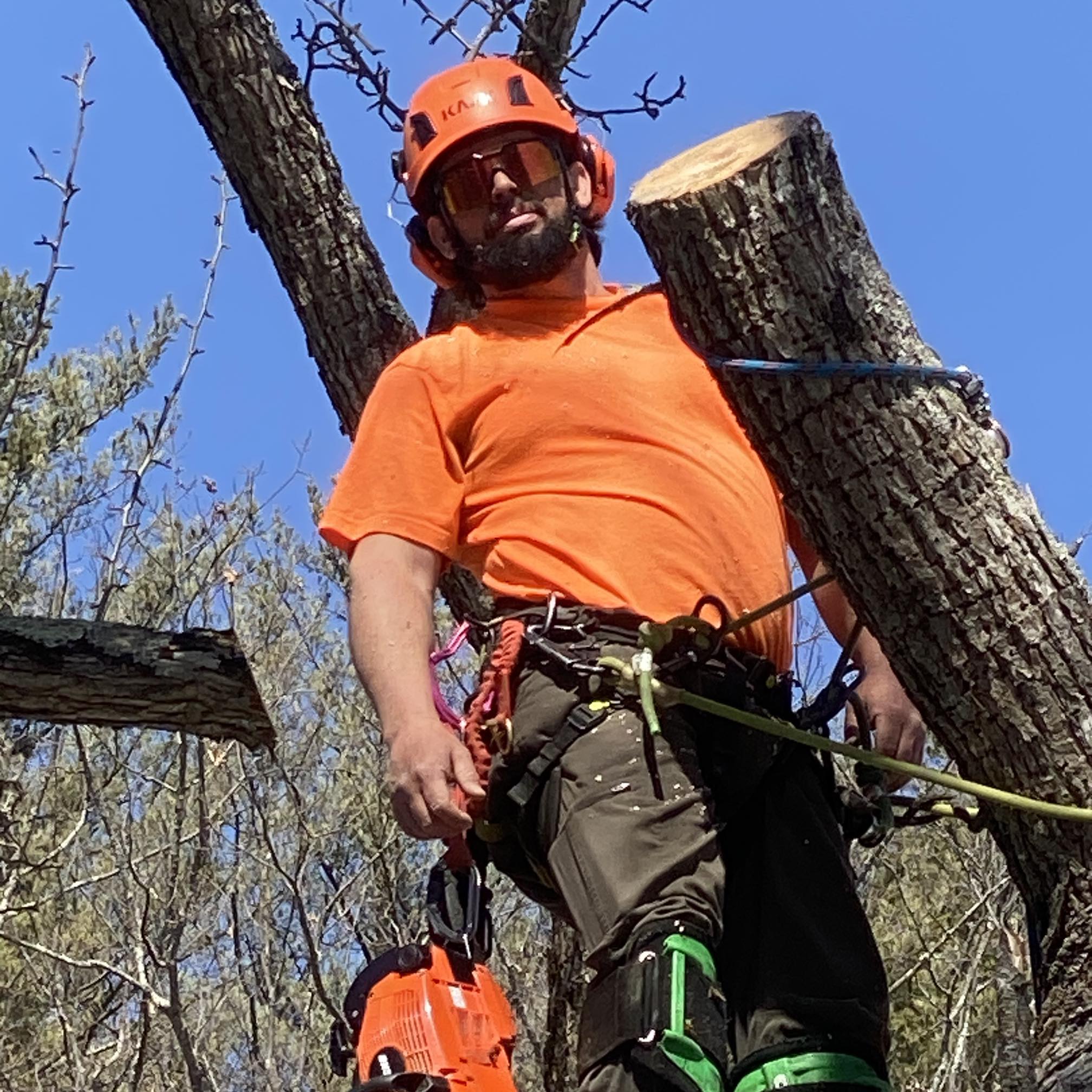 Atlas Tree Service | Franklin NH