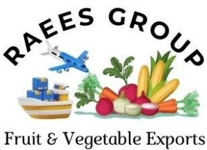 S.Raees.group | Casablanca