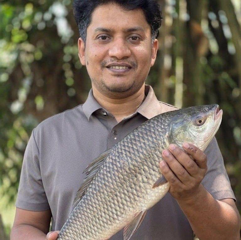 বৃষ্টিতে মাছকে খাবার দিবেন না এই সময় খাবার দিলে মাছের অক্সিজেন সমস্যা