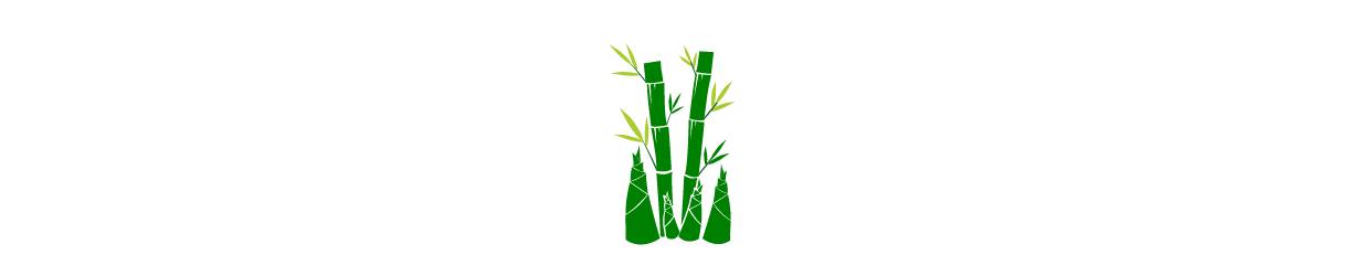 Cây Tre Linux | Ho Chi Minh City