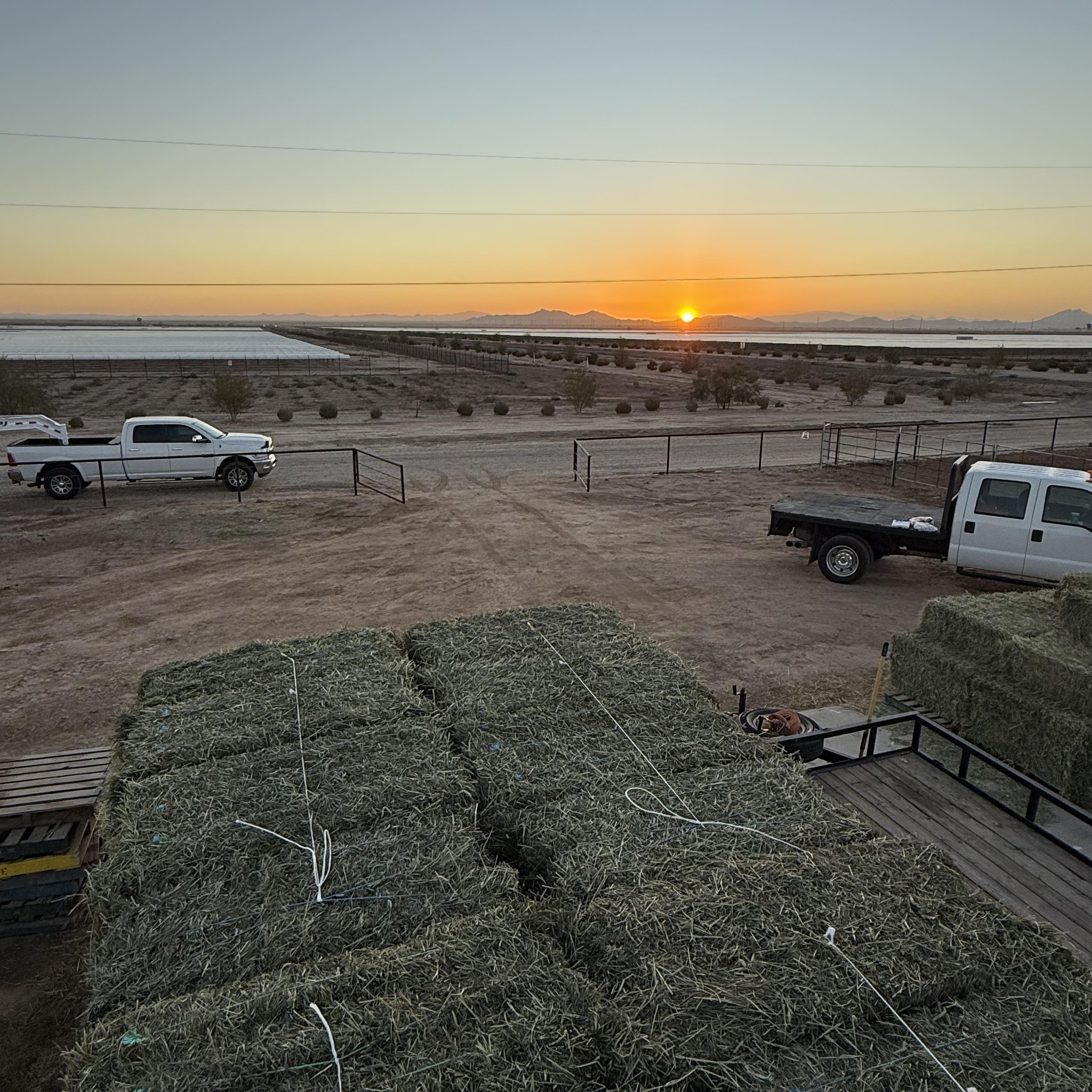 4R Hay Sales & Delivery | Coolidge AZ
