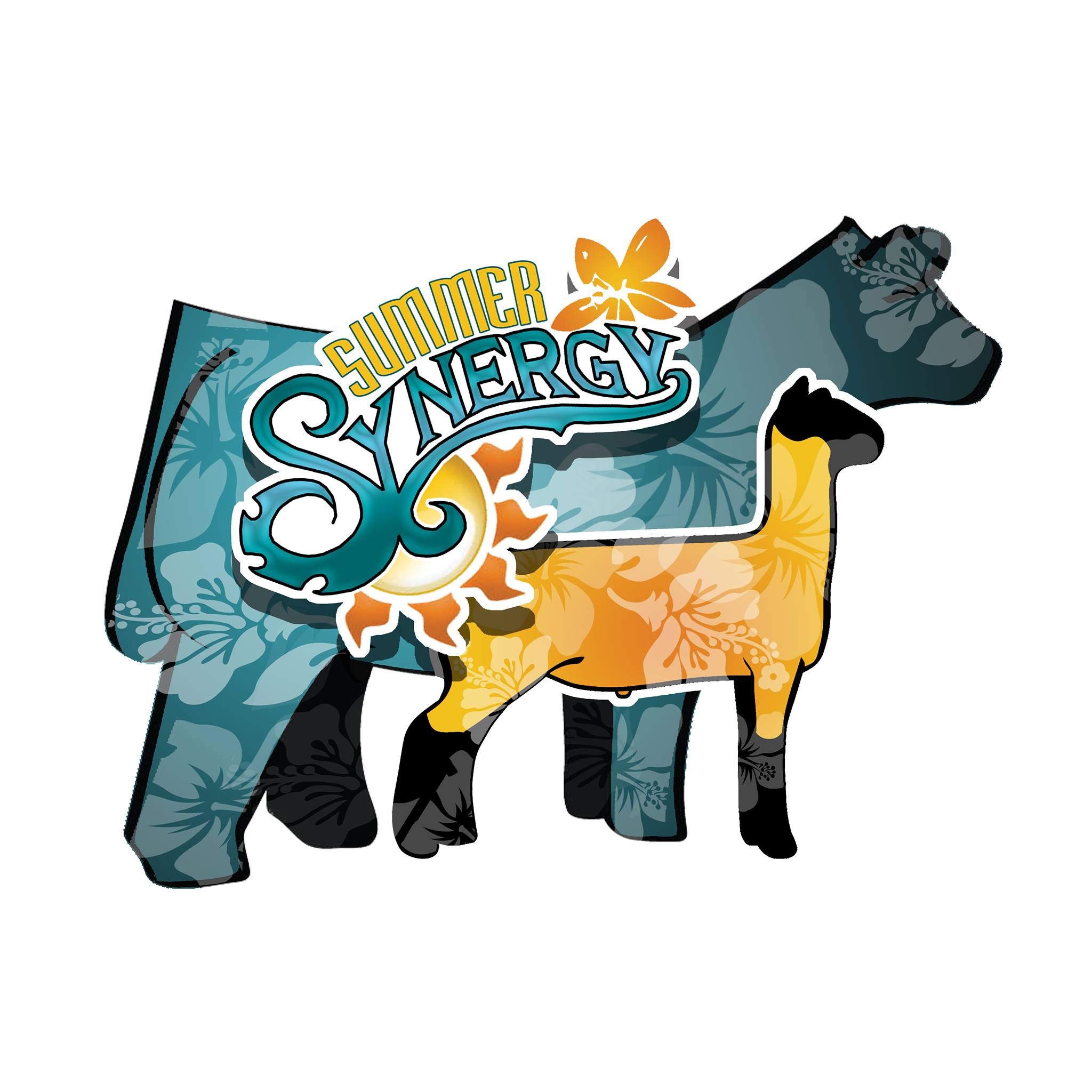 Summer Synergy - Summer Synergy 2026 – Official Class List... | Facebook