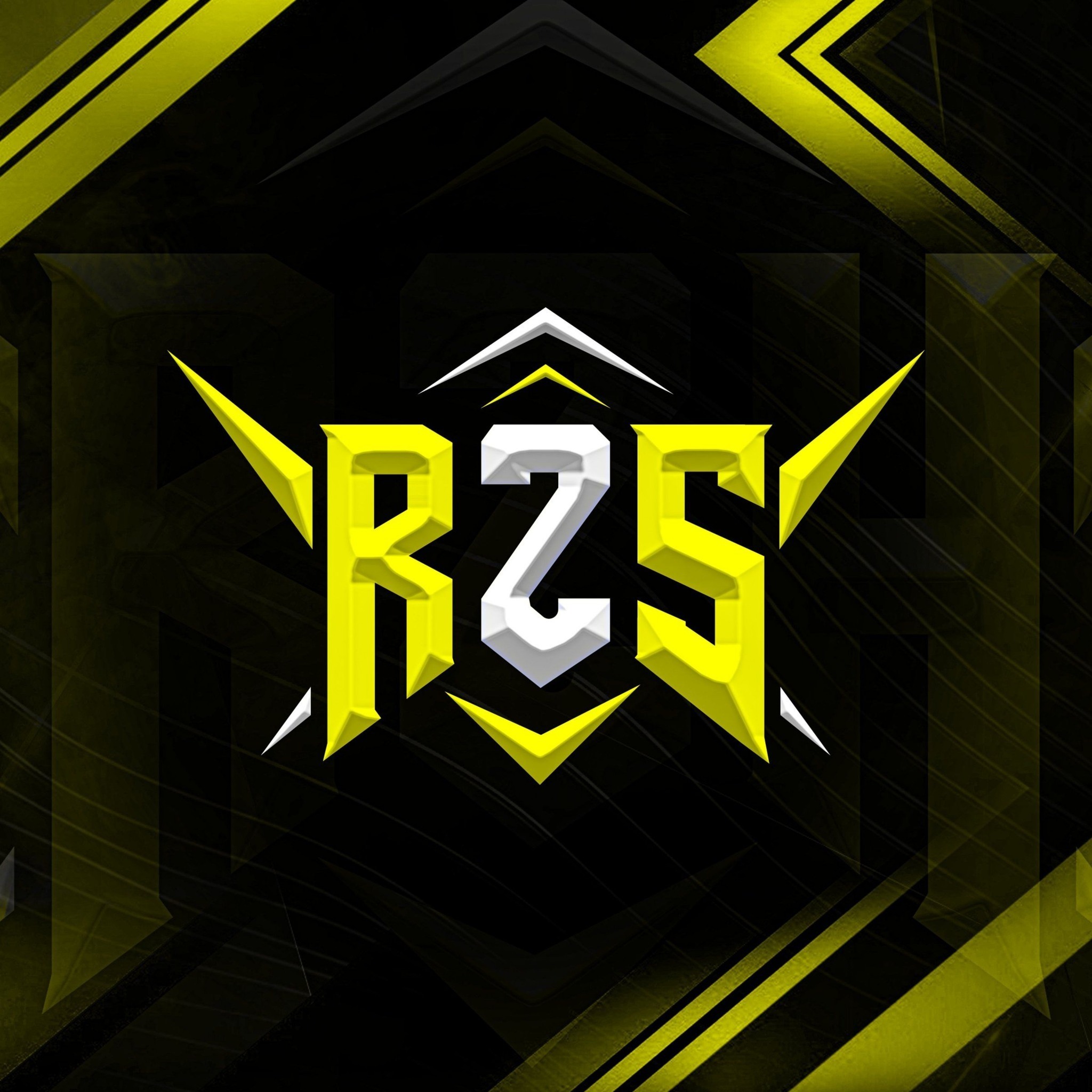 R2S GamerX FF