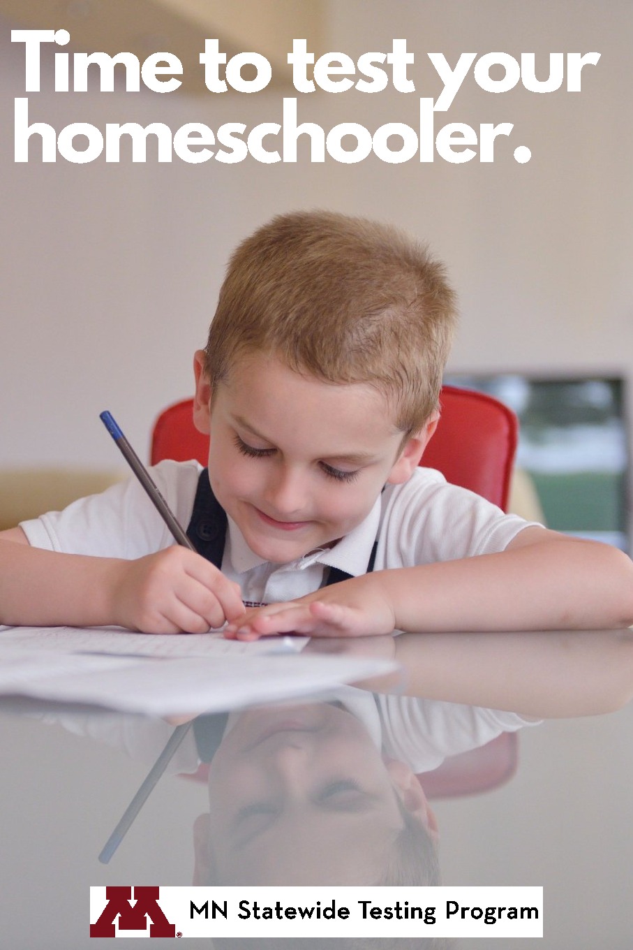 Minnesota Statewide Testing Program | Minneapolis MN