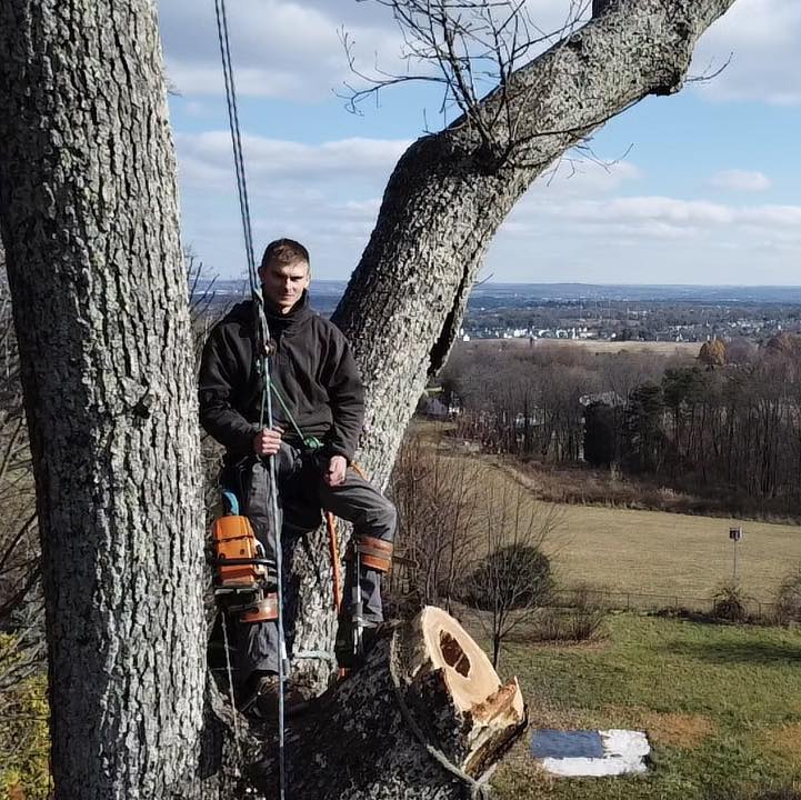 Shropshire Tree Works | Hedgesville WV