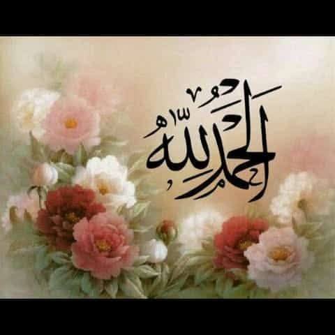 بق الفراش حشرات الفسفس #foryou #اكسبلور #explore #trending #viral ...