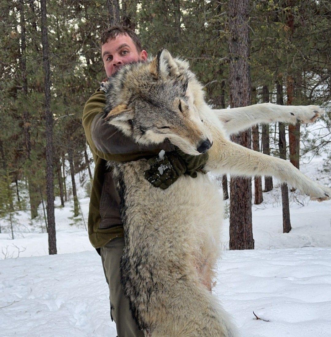 Whiskey Mountain Outfitters | Lowman ID