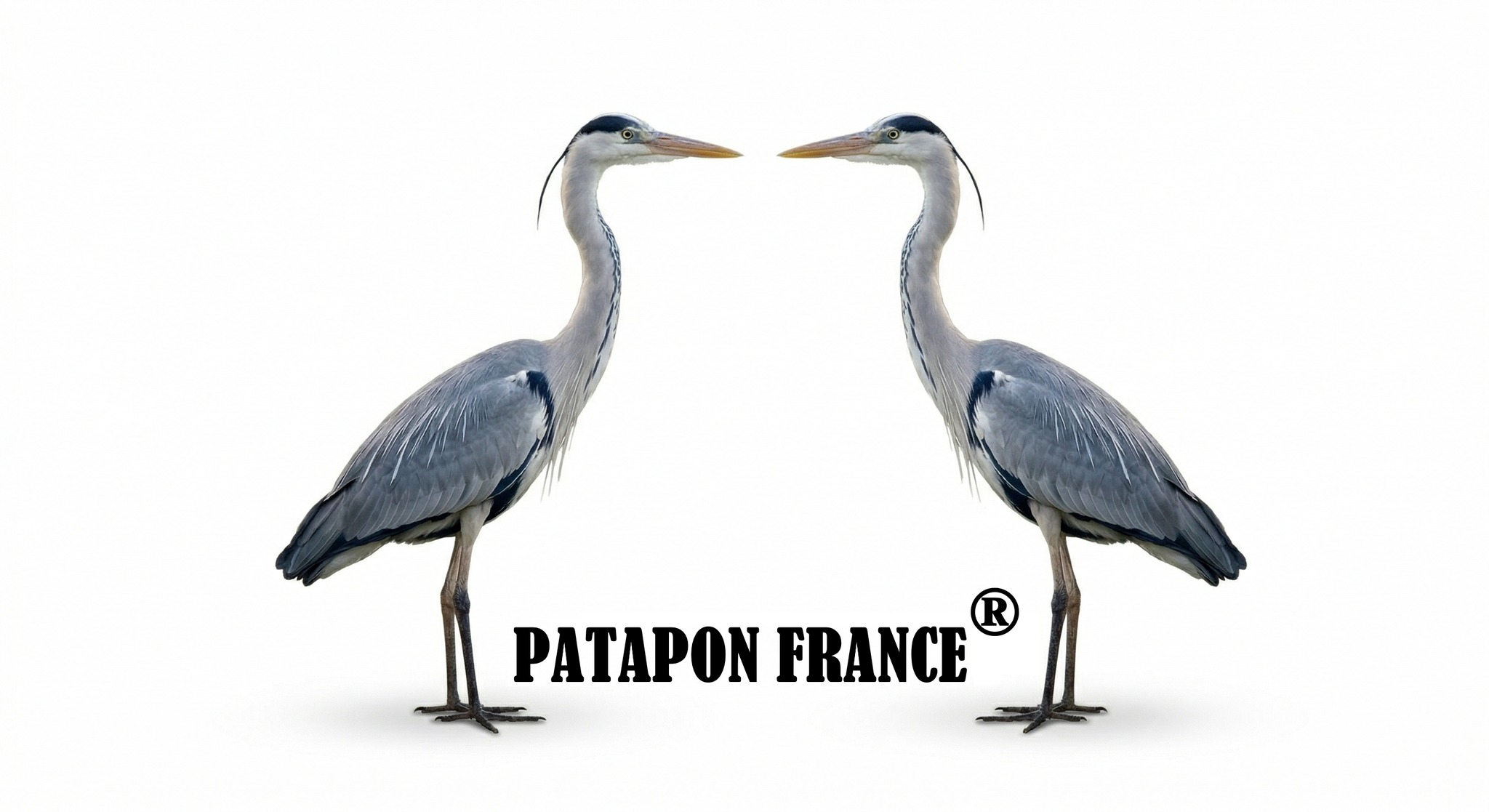 Patapon France | Saint-Prix