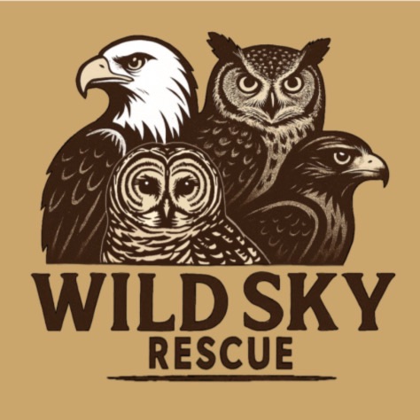 Wild Sky Rescue and Rehab