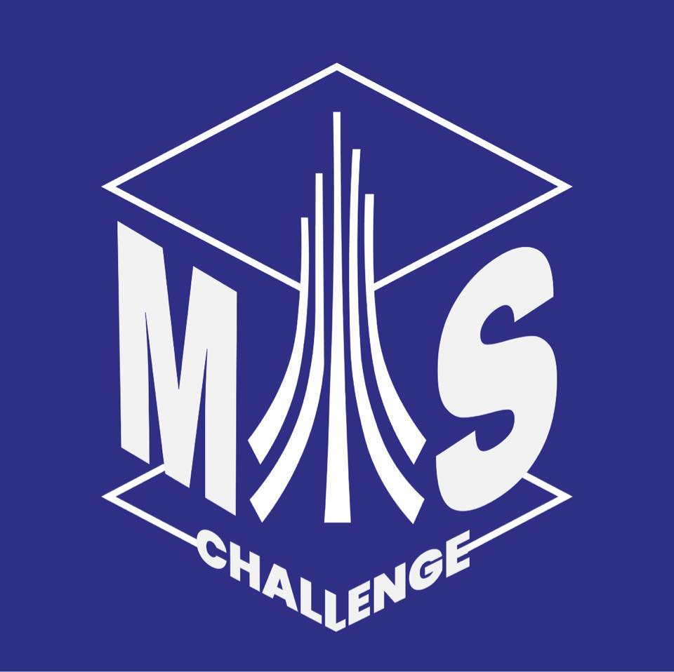 MIS Challenge
