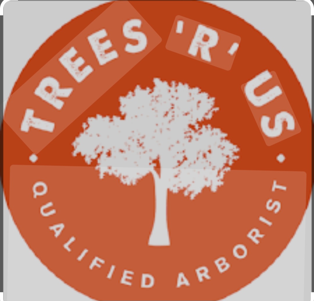 Tree's R us